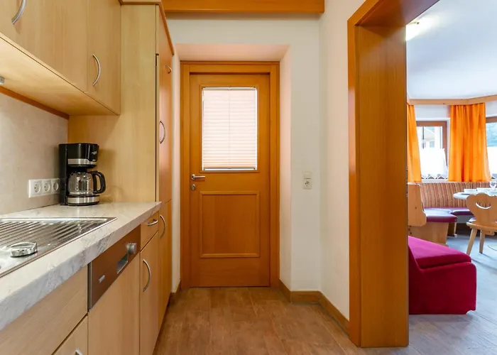 Zirmblick Tatil Evi Saalbach-Hinterglemm